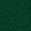 Evergreen Elegance Col. 109 - Metallic